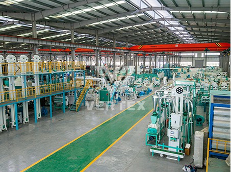 China Oriental Group's 400-ton daily Rice Pr···