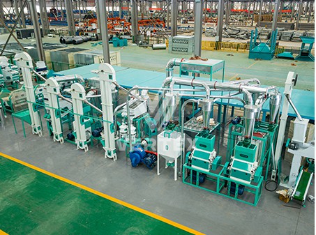China Oriental Group's 400-ton daily Rice Pr···