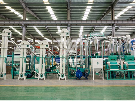 China Oriental Group's 400-ton daily Rice Pr···
